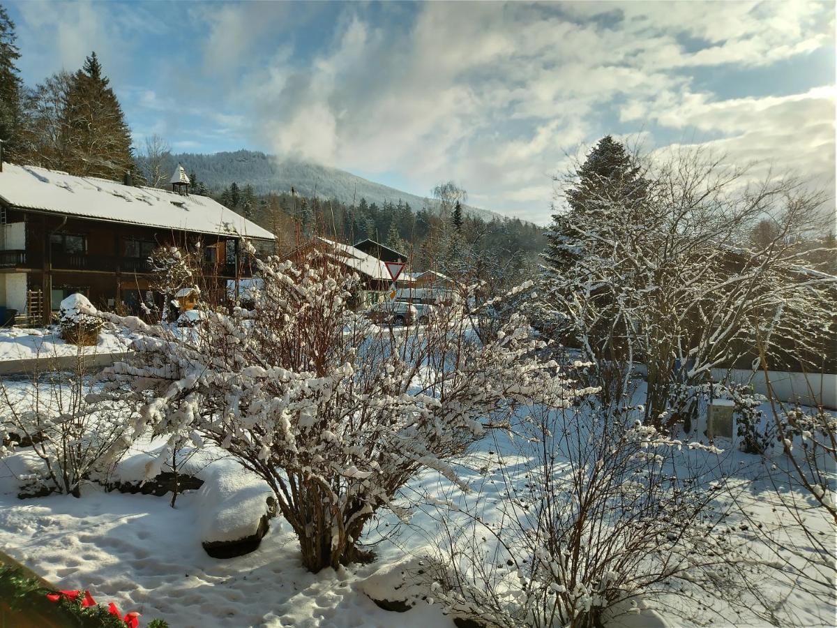 Huettenzauber Ferienwohnung Mitten Im Nationalpark Lindberg Exterior foto